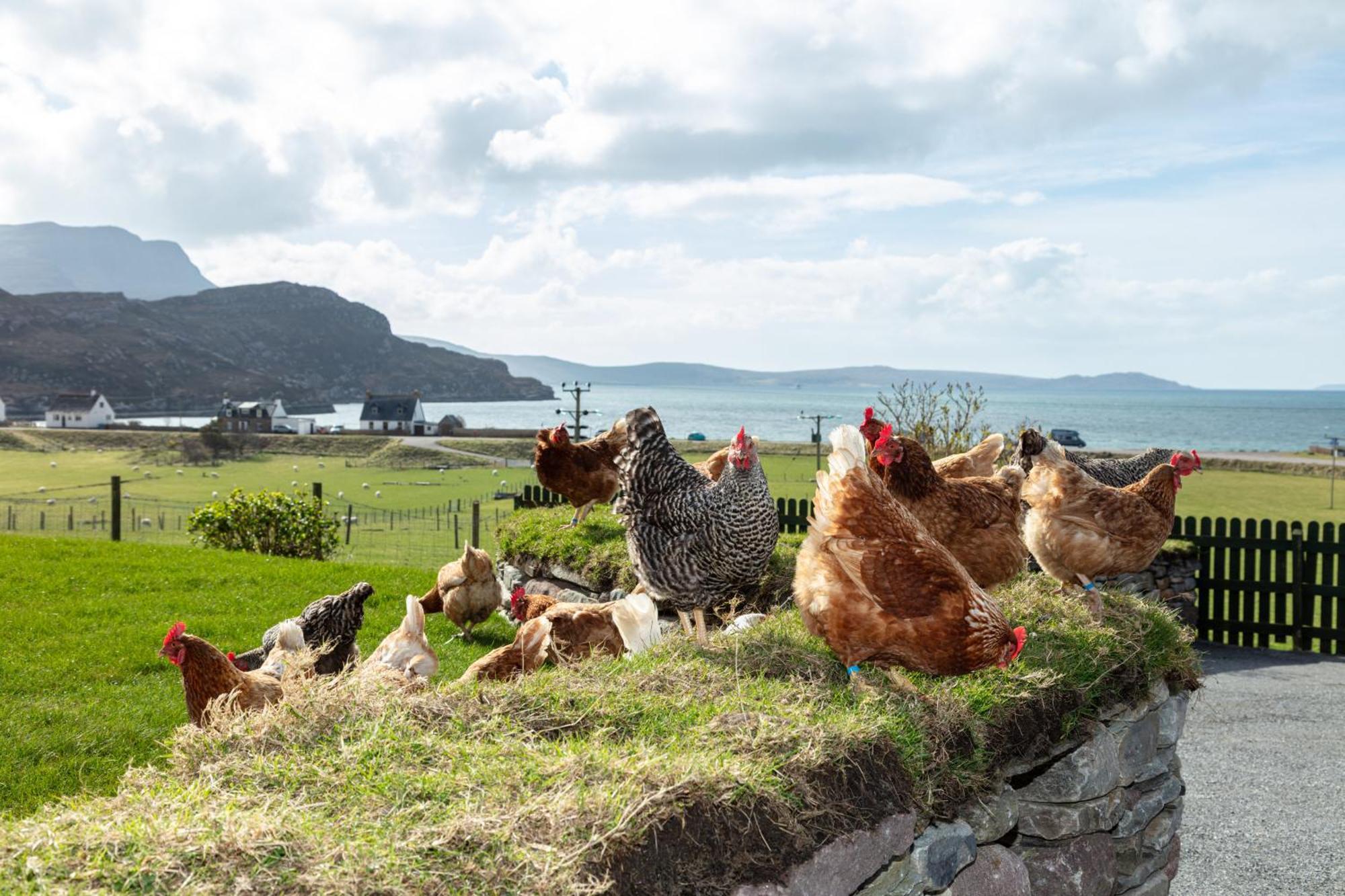 Croft Cottage Ullapool Bagian luar foto